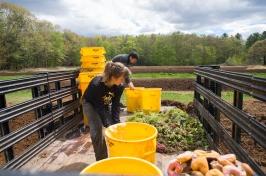 Students working with compost in the bed of a truck